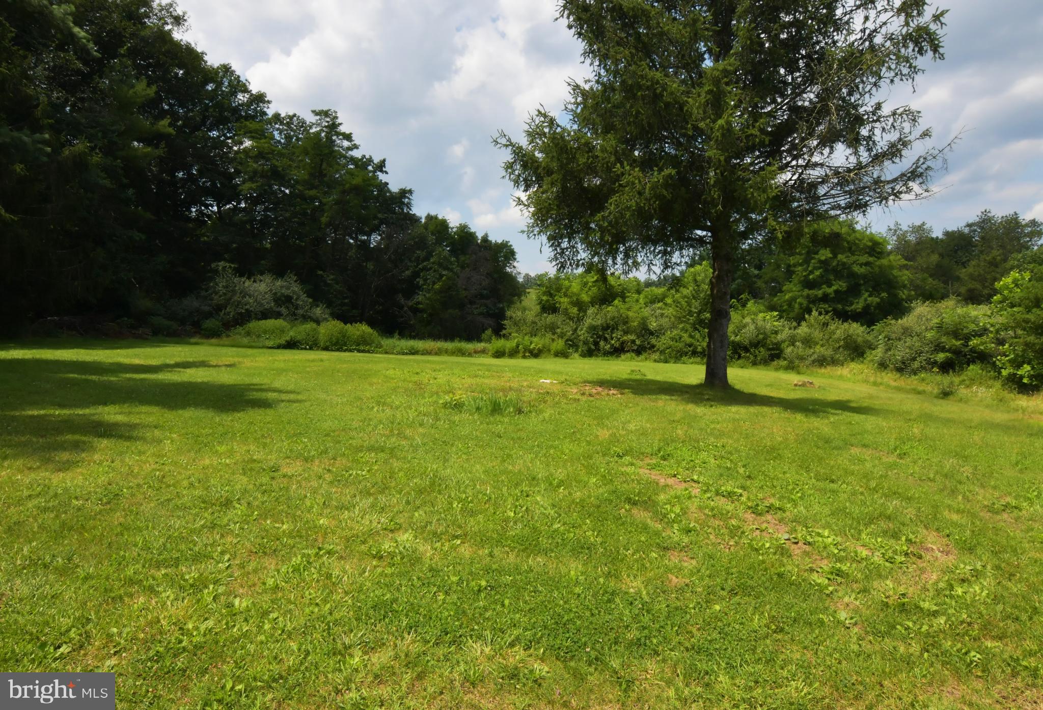 500 Dunmore Ridge Road Augusta, WV 26704 - Photo 9 of 43 Magnificent lawn