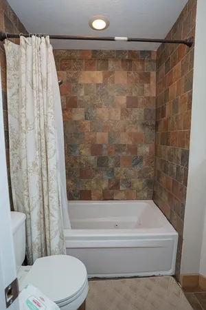 a bathroom with a shower and a toilet