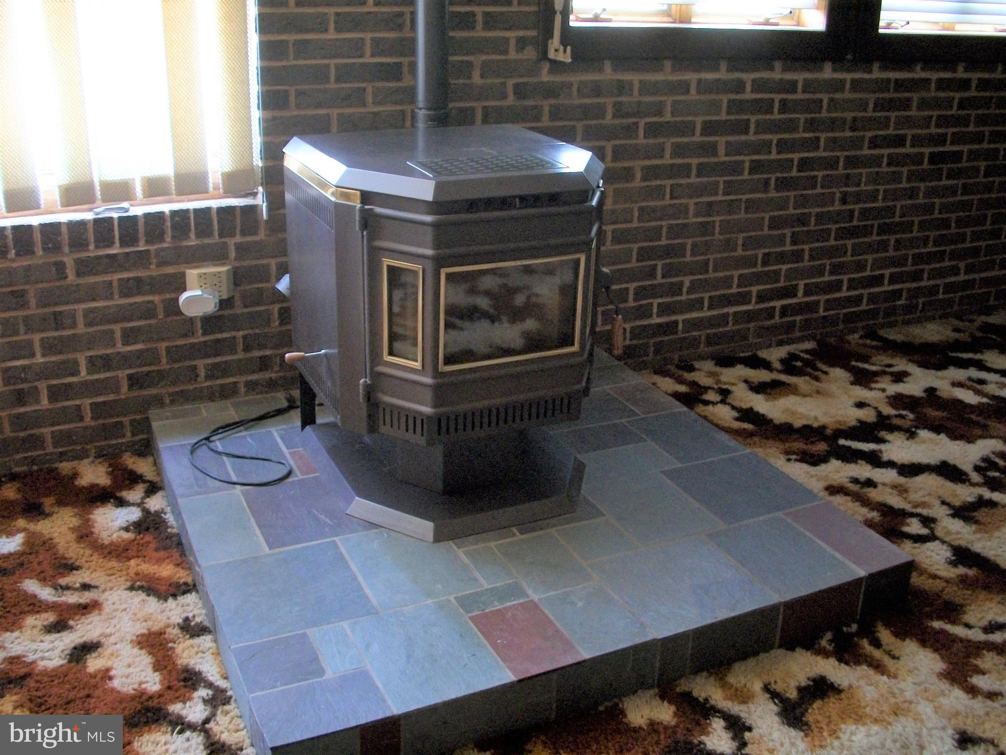 4024 Grande View Drive Pylesville, MD 21132 - Photo 35 of 55 Family Room - wood stove