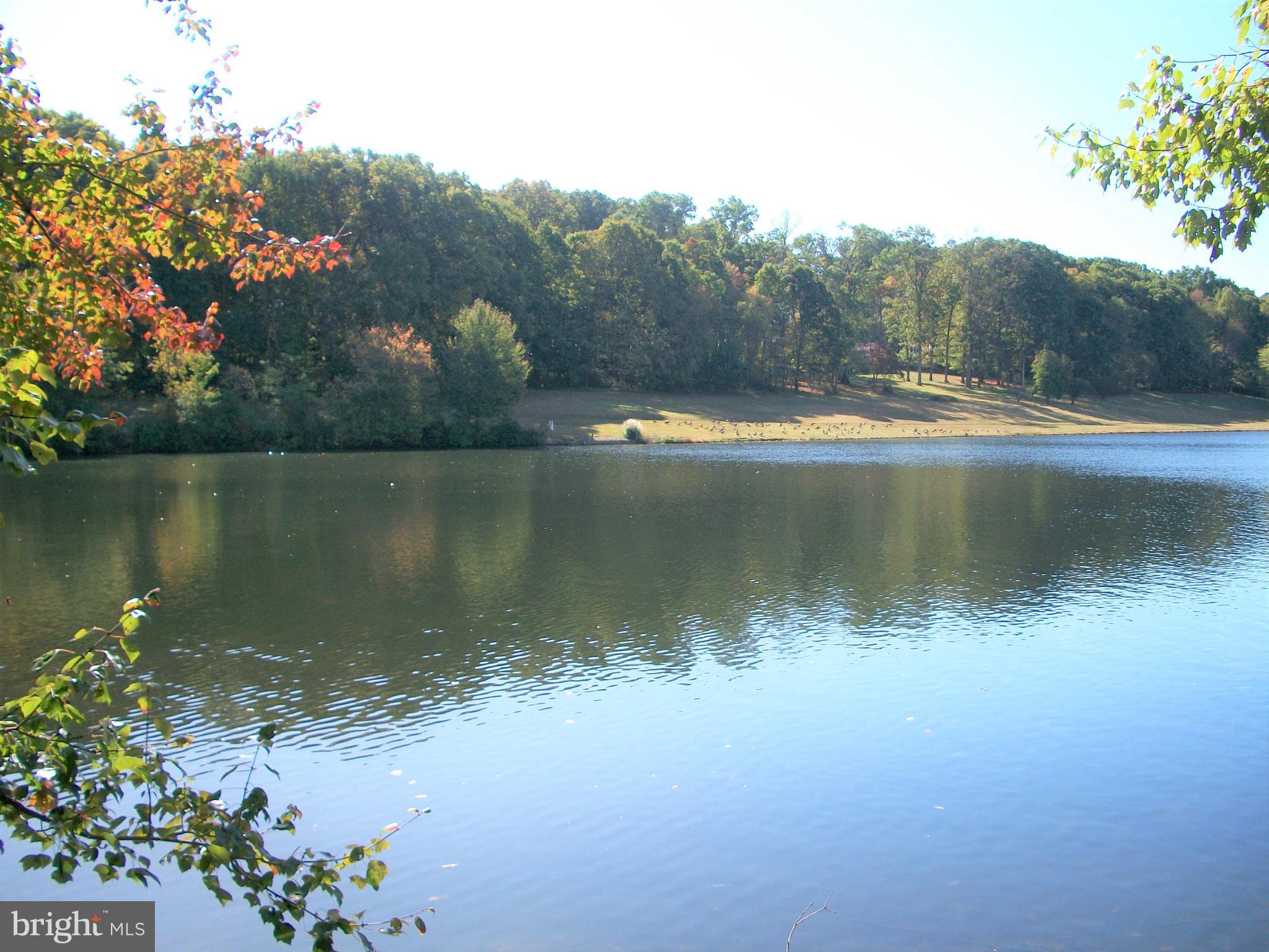 4024 Grande View Drive Pylesville, MD 21132 - Photo 51 of 55 Grande View Farm Community Lake