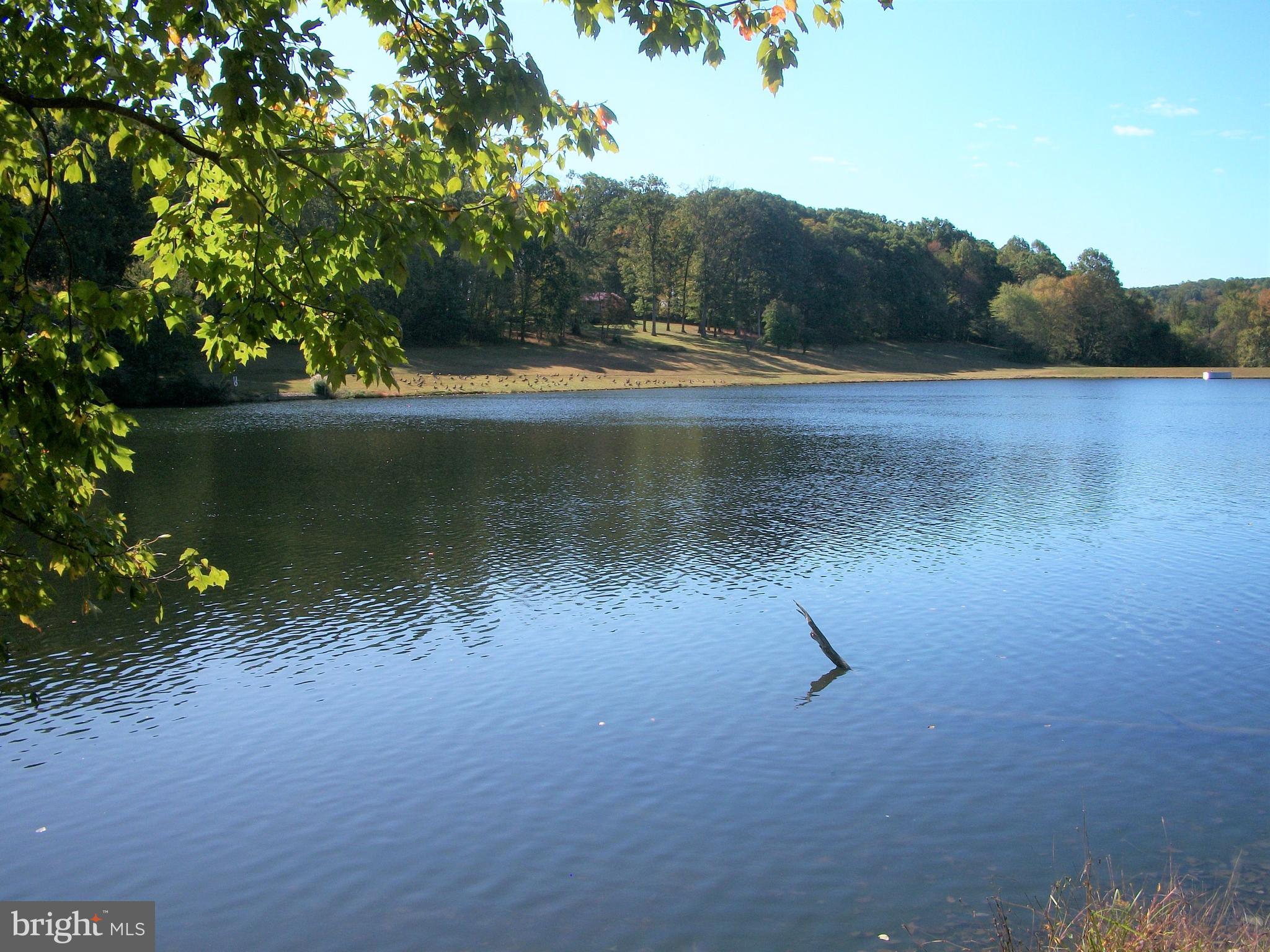 4024 Grande View Drive Pylesville, MD 21132 - Photo 52 of 55 Grande View Farm Community Lake