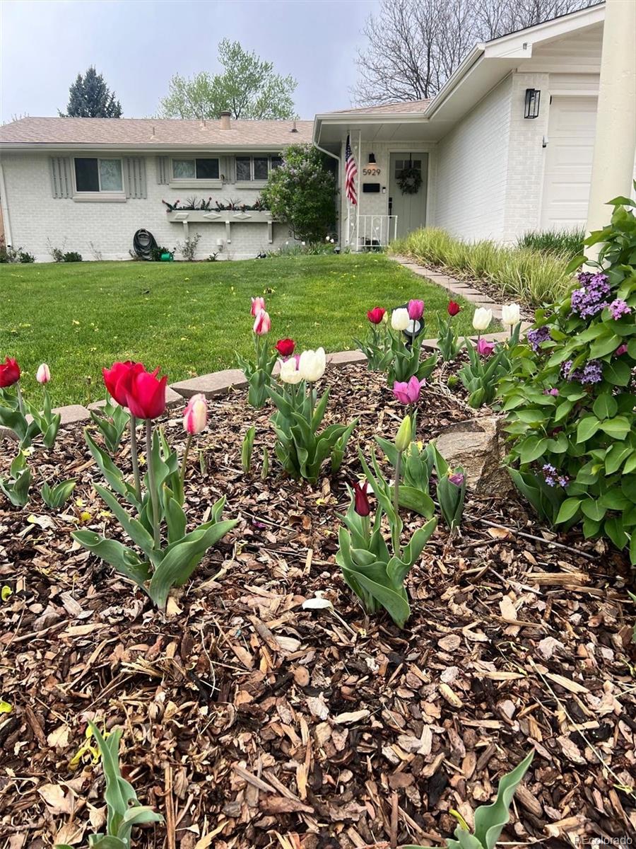 5929 South Steele Street Centennial, CO 80121 - Photo 41 of 49