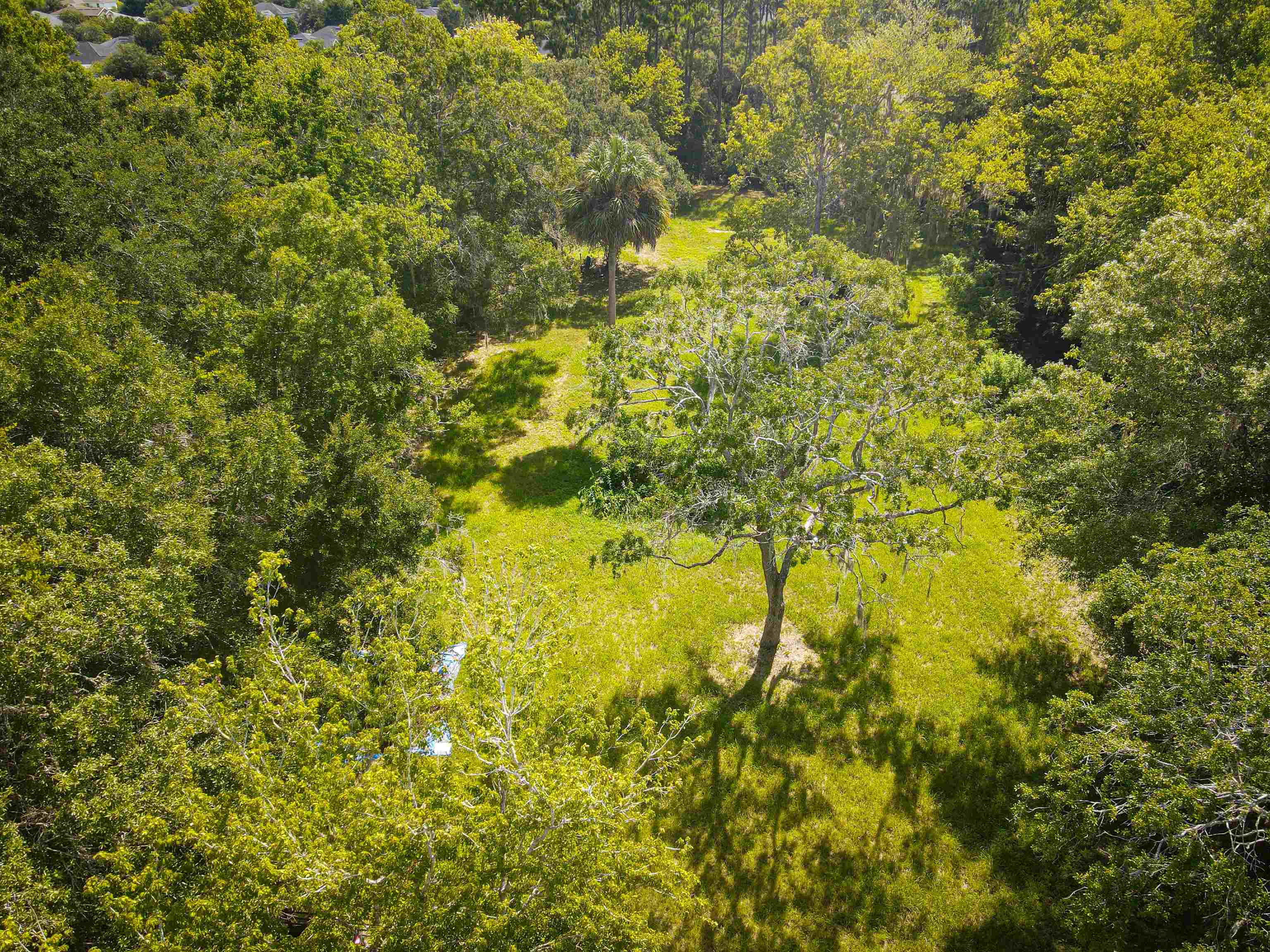 5820 Datil Pepper Road St. Augustine, FL 32086 - Photo 6 of 9