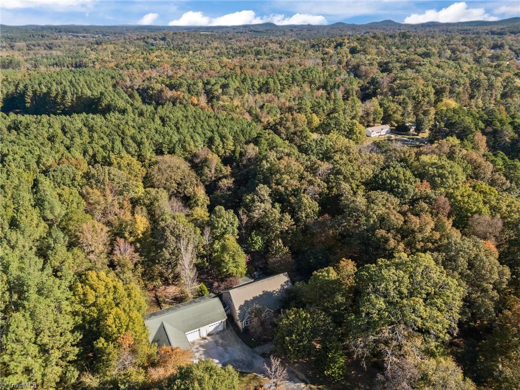 952 Flat Swamp Road Denton, NC 27239 - Photo 44 of 47