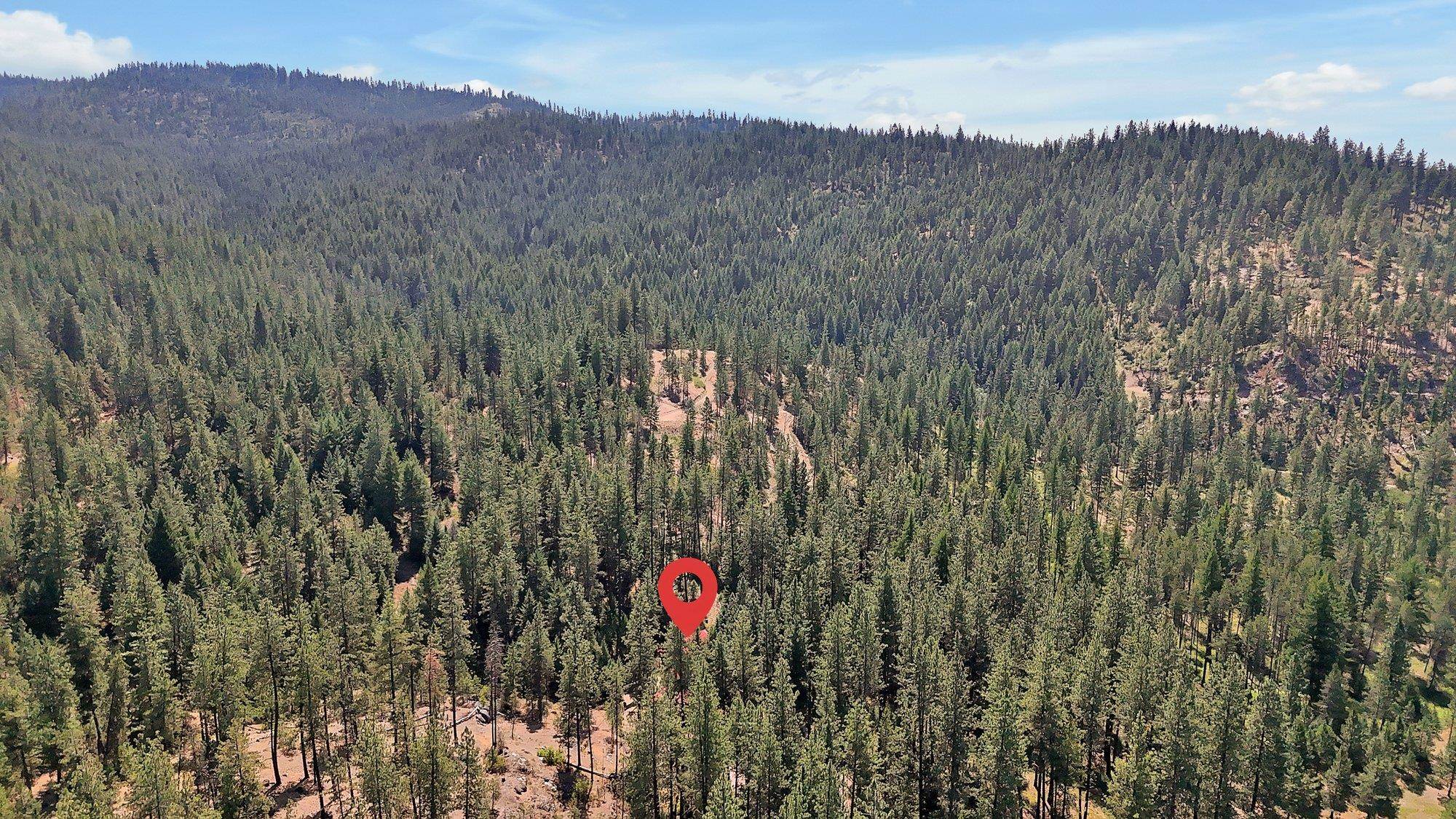 4325 G Highway 231 Springdale, WA 99173 - Photo 47 of 50