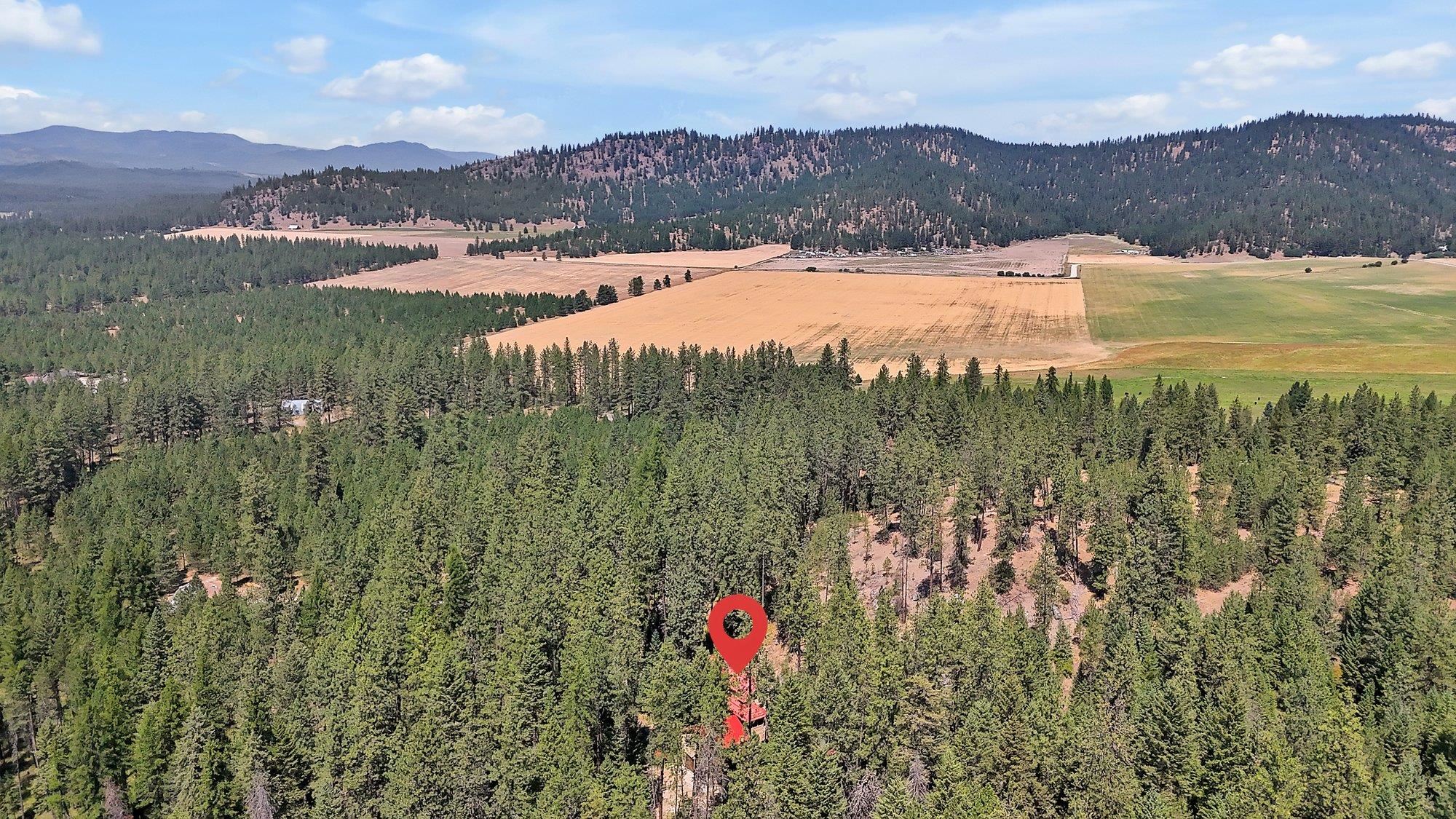 4325 G Highway 231 Springdale, WA 99173 - Photo 48 of 50