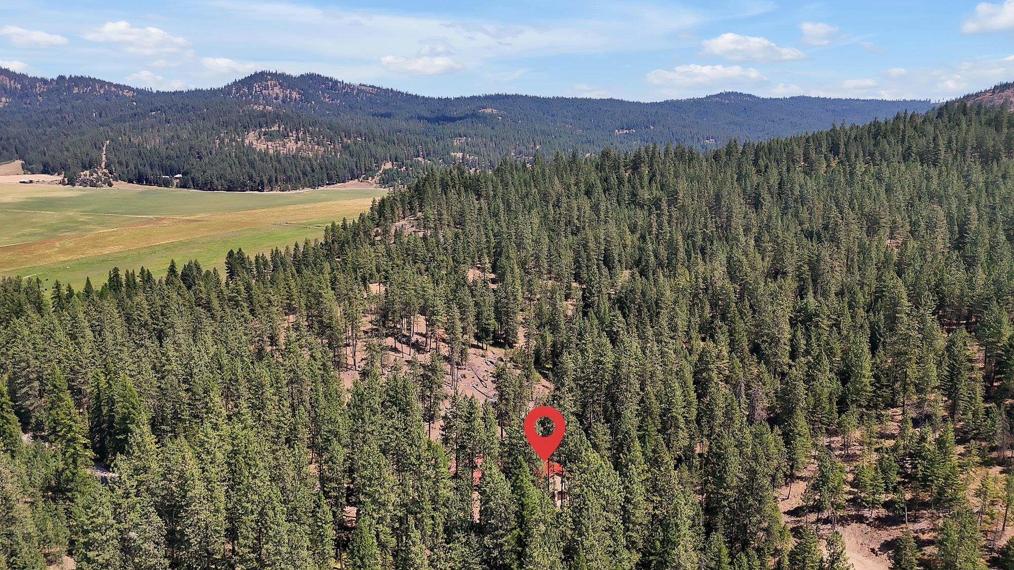 4325 G Highway 231 Springdale, WA 99173 - Photo 49 of 50