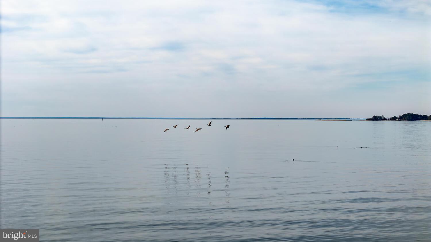 26361 Chanticleer Road Oxford, MD 21654 - Photo 25 of 28