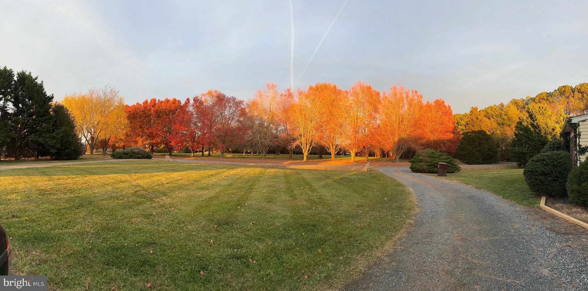 26361 Chanticleer Road Oxford, MD 21654 - Photo 27 of 28