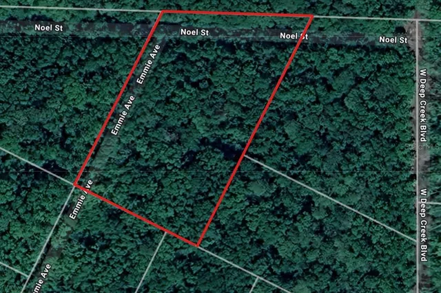 a picture of a tree with a plant on it