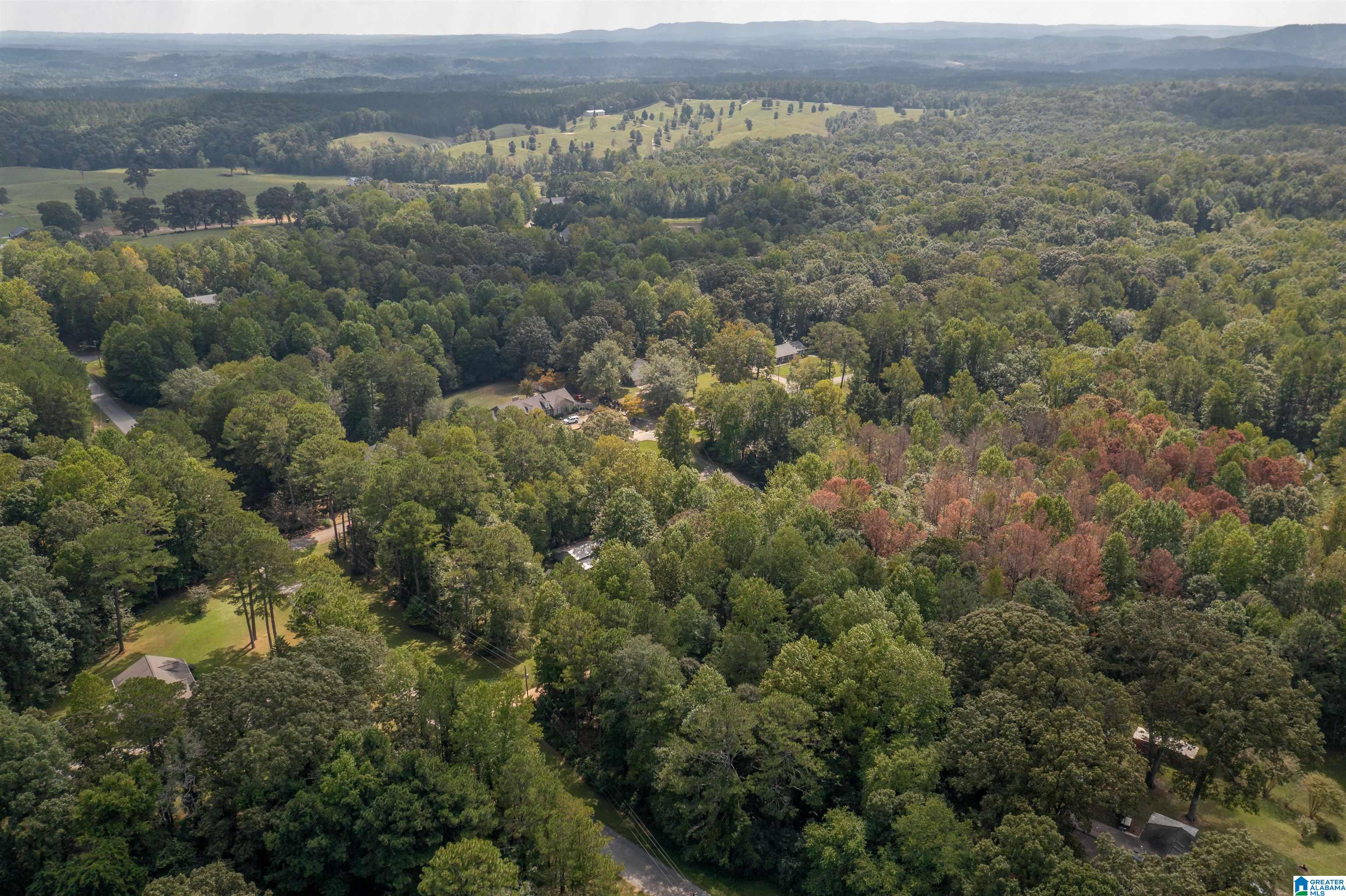 1100 Bells Mill Road Heflin, AL 36264 - Photo 48 of 51
