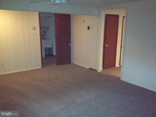 902 Whitehall Street Silver Spring, MD 20901 - Photo 17 of 30 Basement