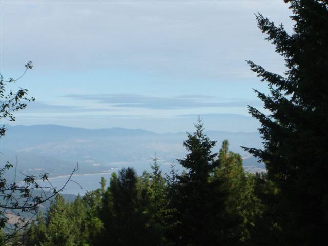 3250 Cedonia-Addy Road Hunters, WA 99137 - Photo 1 of 9