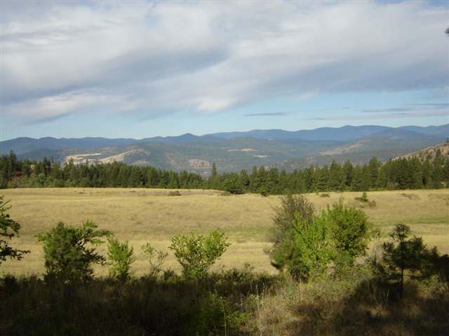 3250 Cedonia-Addy Road Hunters, WA 99137 - Photo 2 of 9