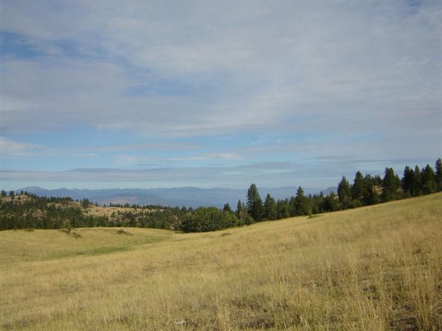 3250 Cedonia-Addy Road Hunters, WA 99137 - Photo 4 of 9
