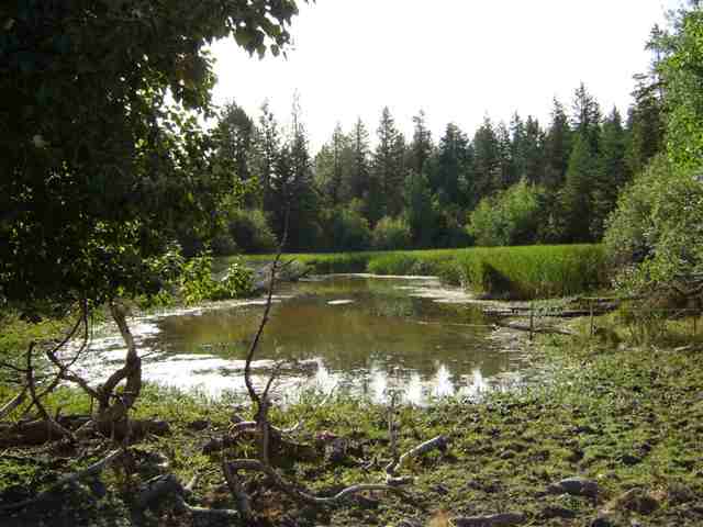 3250 Cedonia-Addy Road Hunters, WA 99137 - Photo 5 of 9