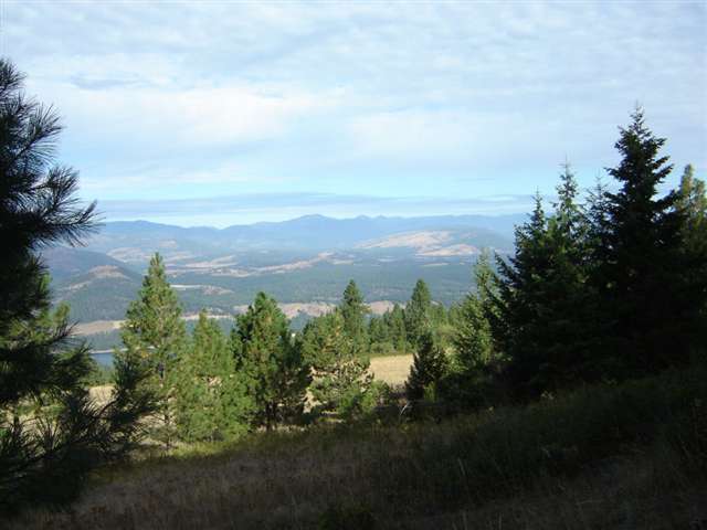 3250 Cedonia-Addy Road Hunters, WA 99137 - Photo 7 of 9