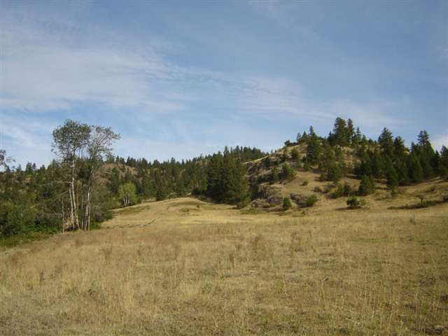 3250 Cedonia-Addy Road Hunters, WA 99137 - Photo 9 of 9