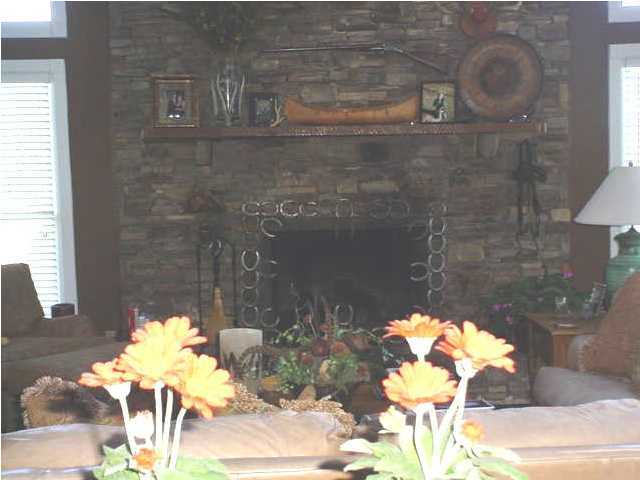 1664 Tom Hunt Road Chickamauga, GA 30707 - Photo 4 of 9 Additional Photo