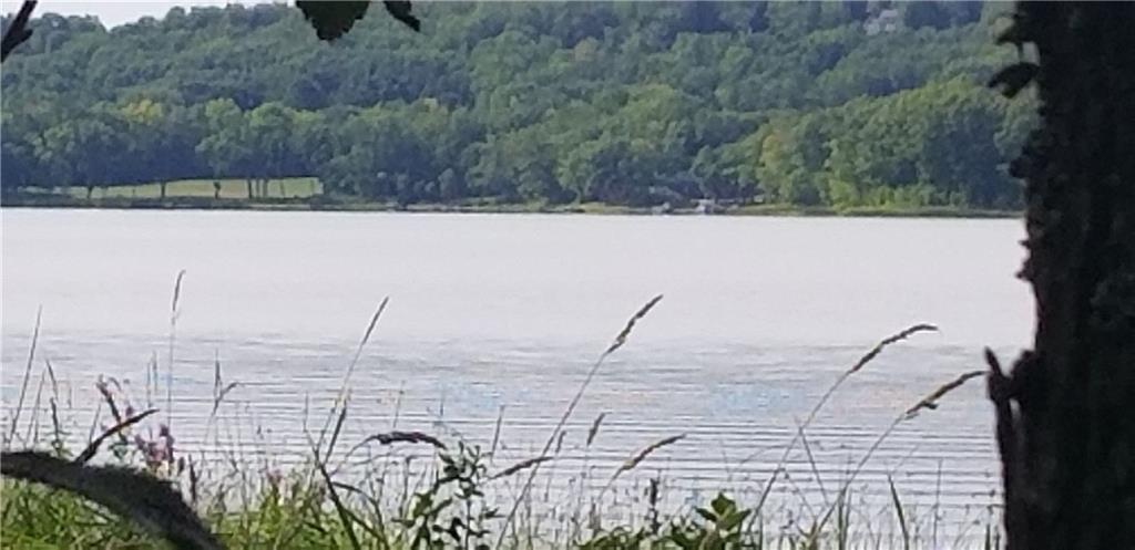 341 South Union Road Union, ME 04862 - Photo 3 of 35 The shoreline