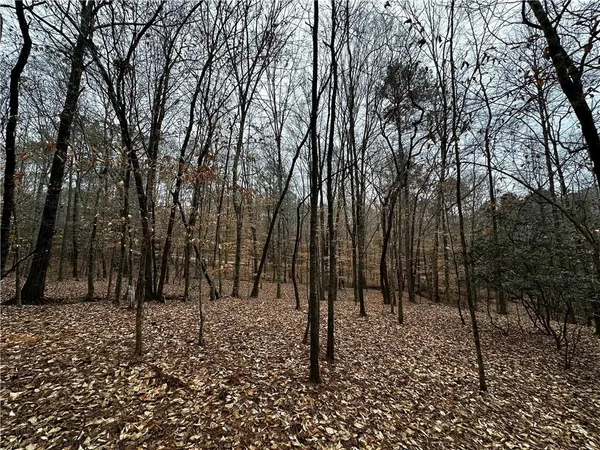 $99,900 | 0 Lee Road 367, Valley, AL 36854