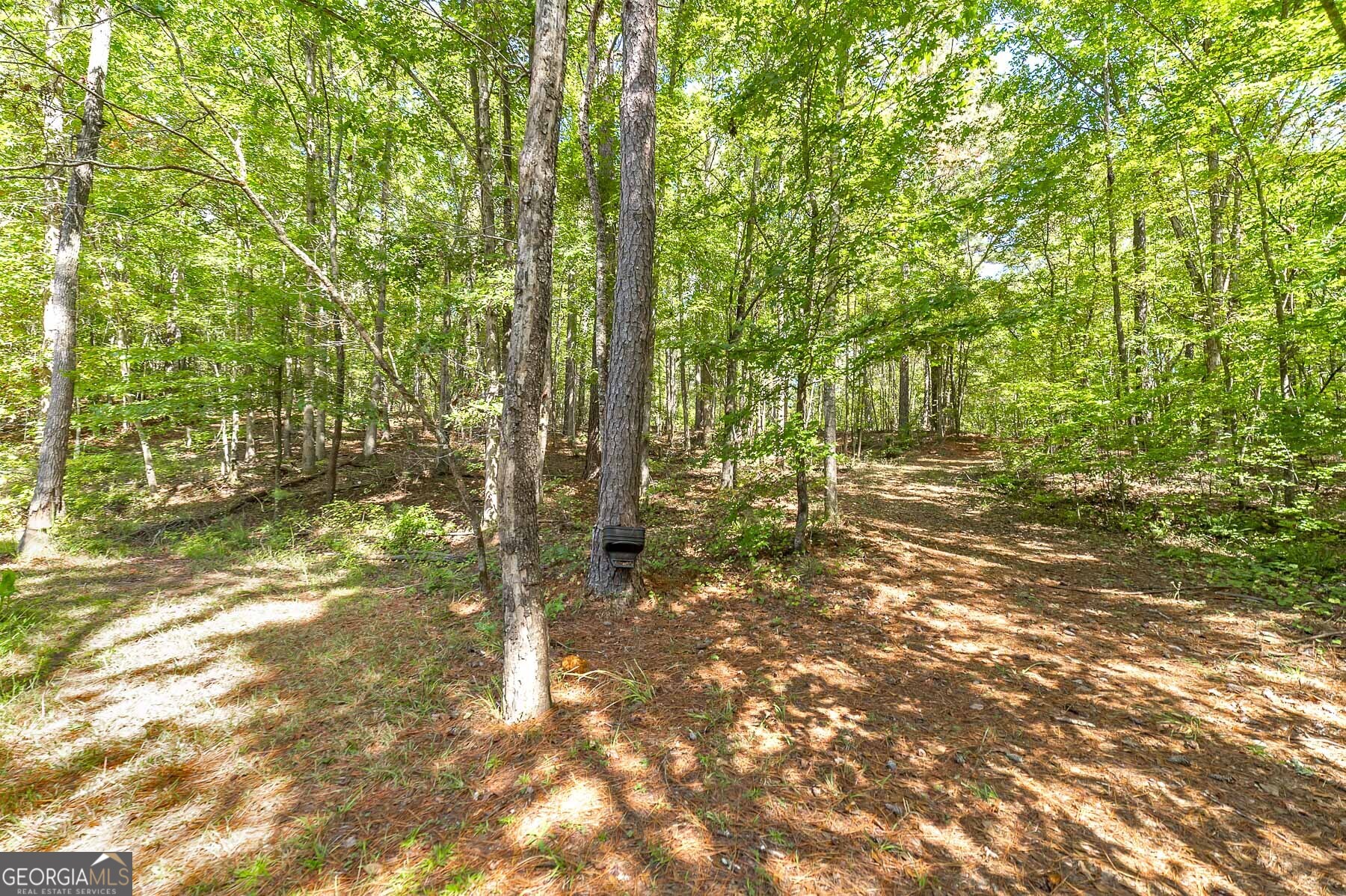 447 Grandview Road Mansfield, GA 30055 - Photo 35 of 65