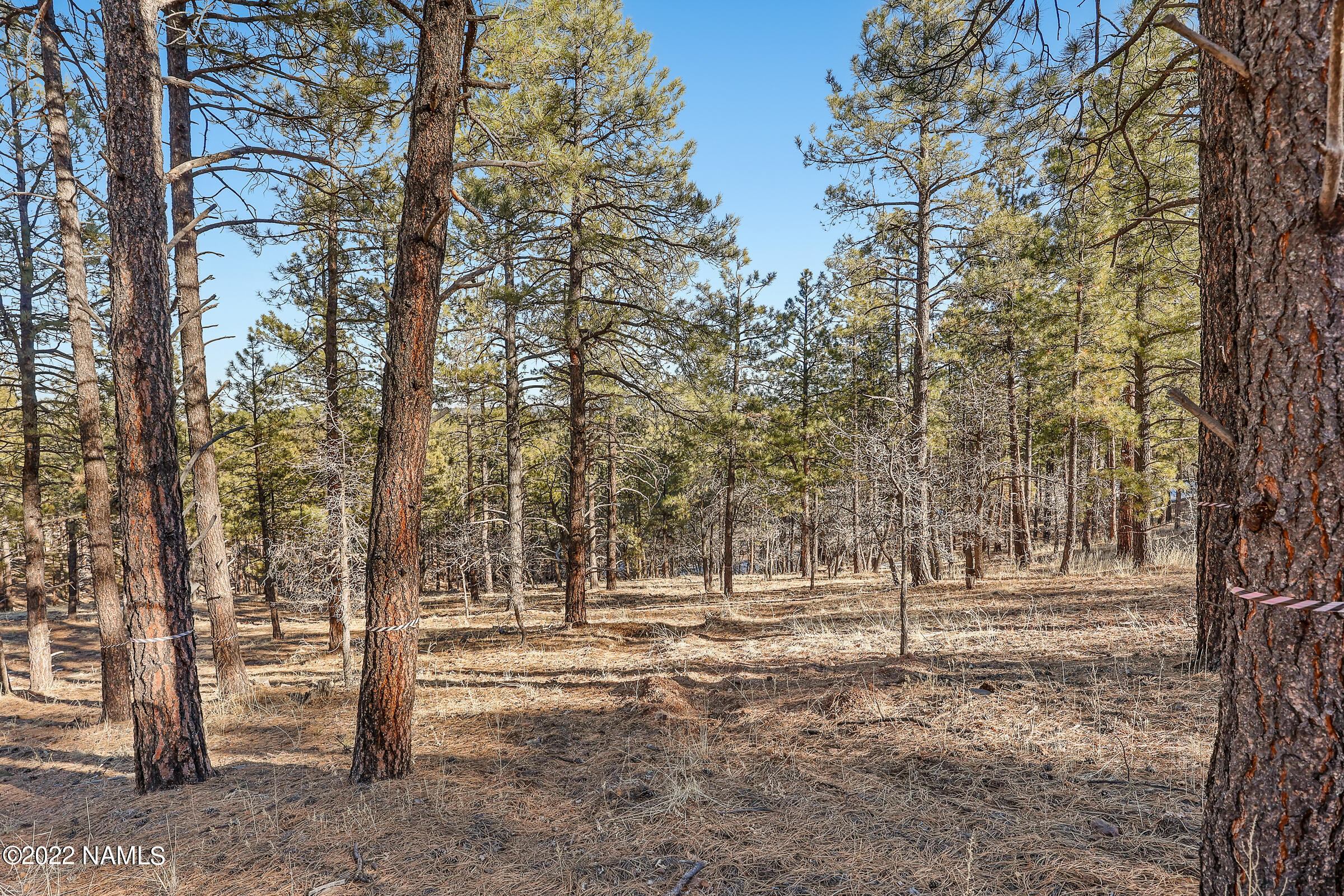 4460 S Flagstaff Ranch Rd