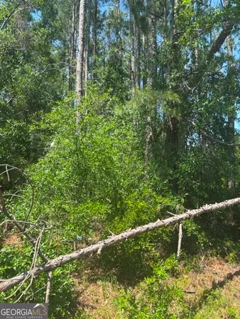 a view of a green field