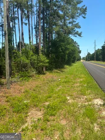 a view of backyard with green space
