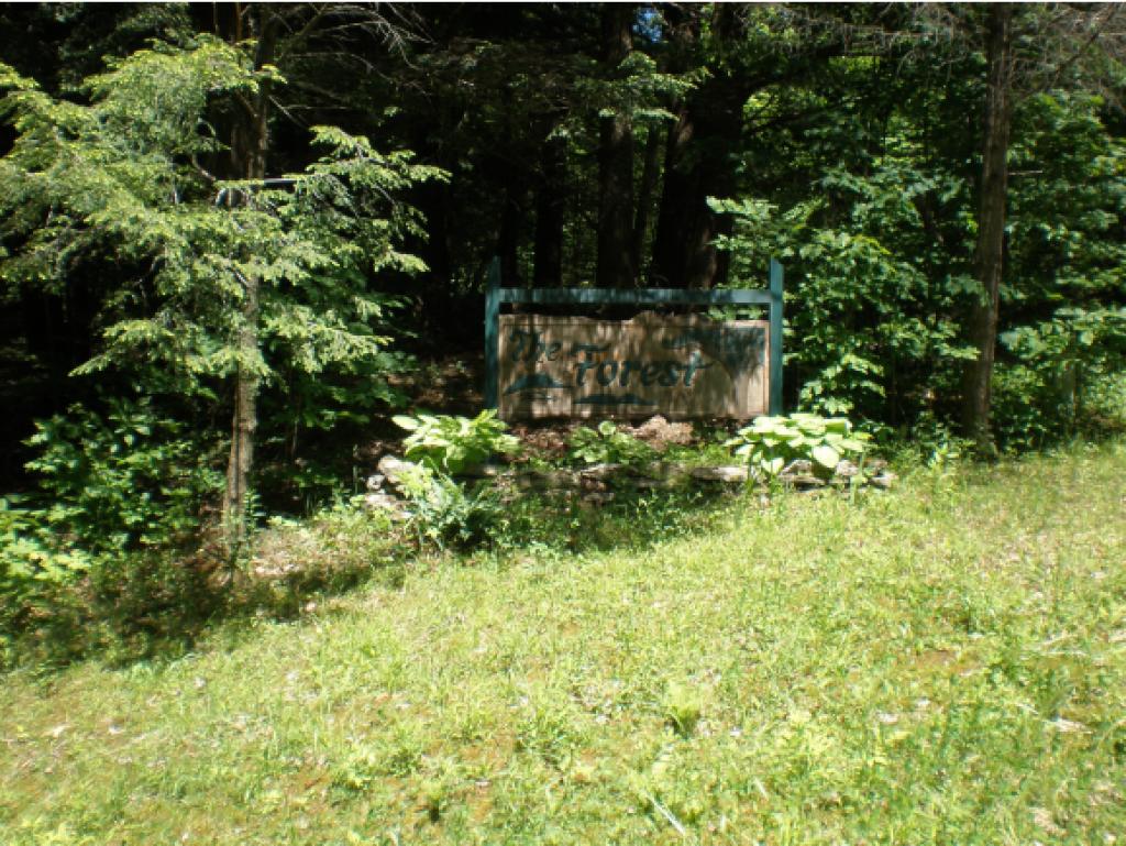 1023 Forest Road St. George, VT 05495 - Photo 17 of 17