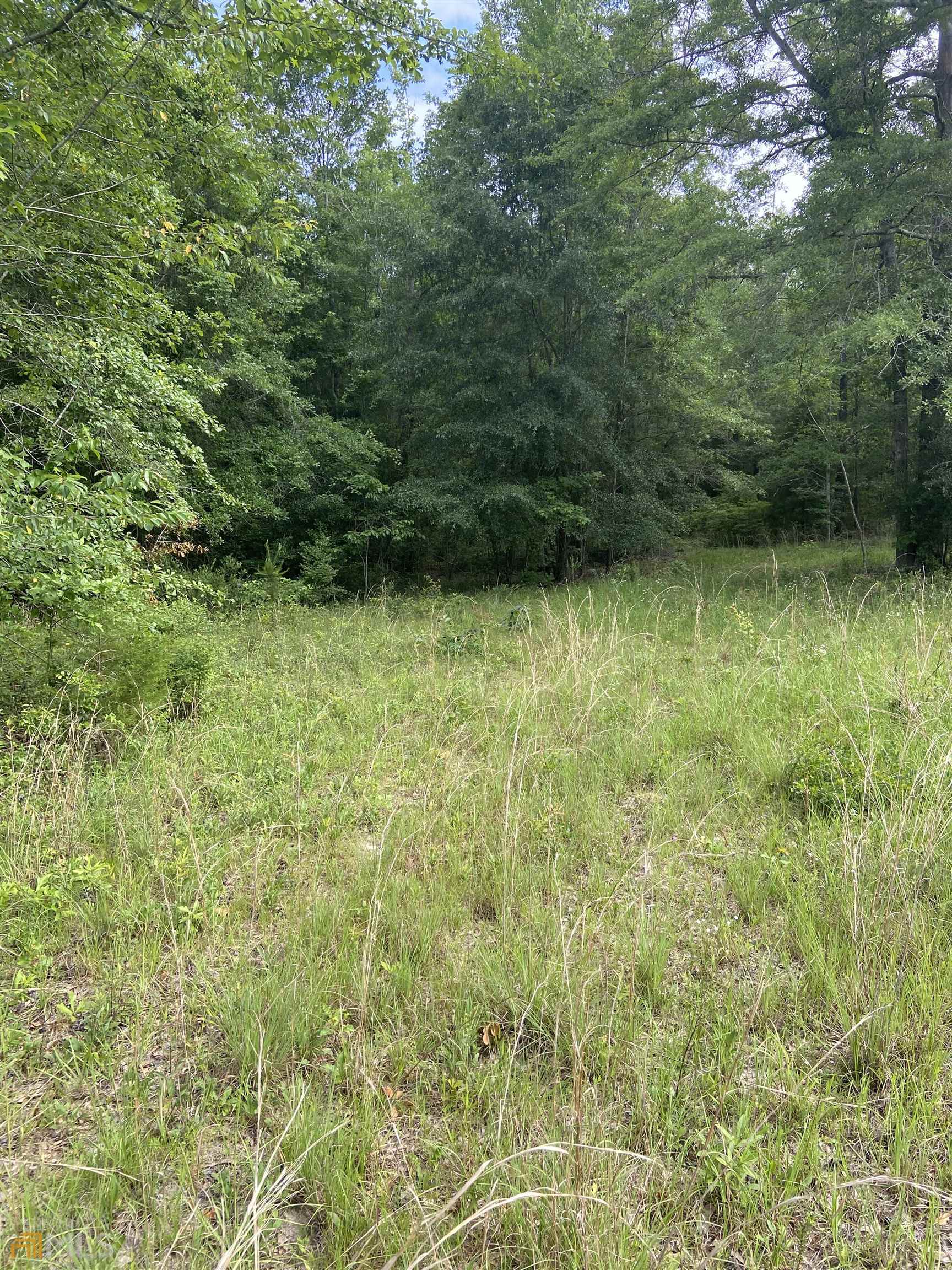 478 Tallent Store Road Americus, GA 31719 - Photo 1 of 1 Gallery Image 1