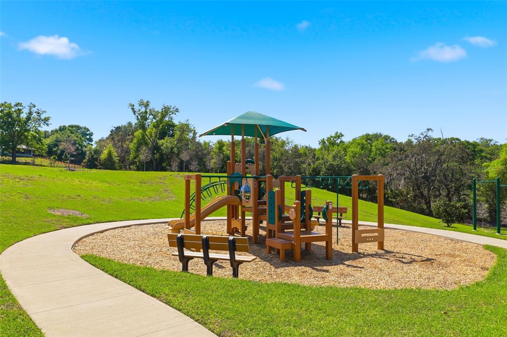 740 Rioja Drive Minneola, FL 34715 - Photo 32 of 33 a view of a park with slide