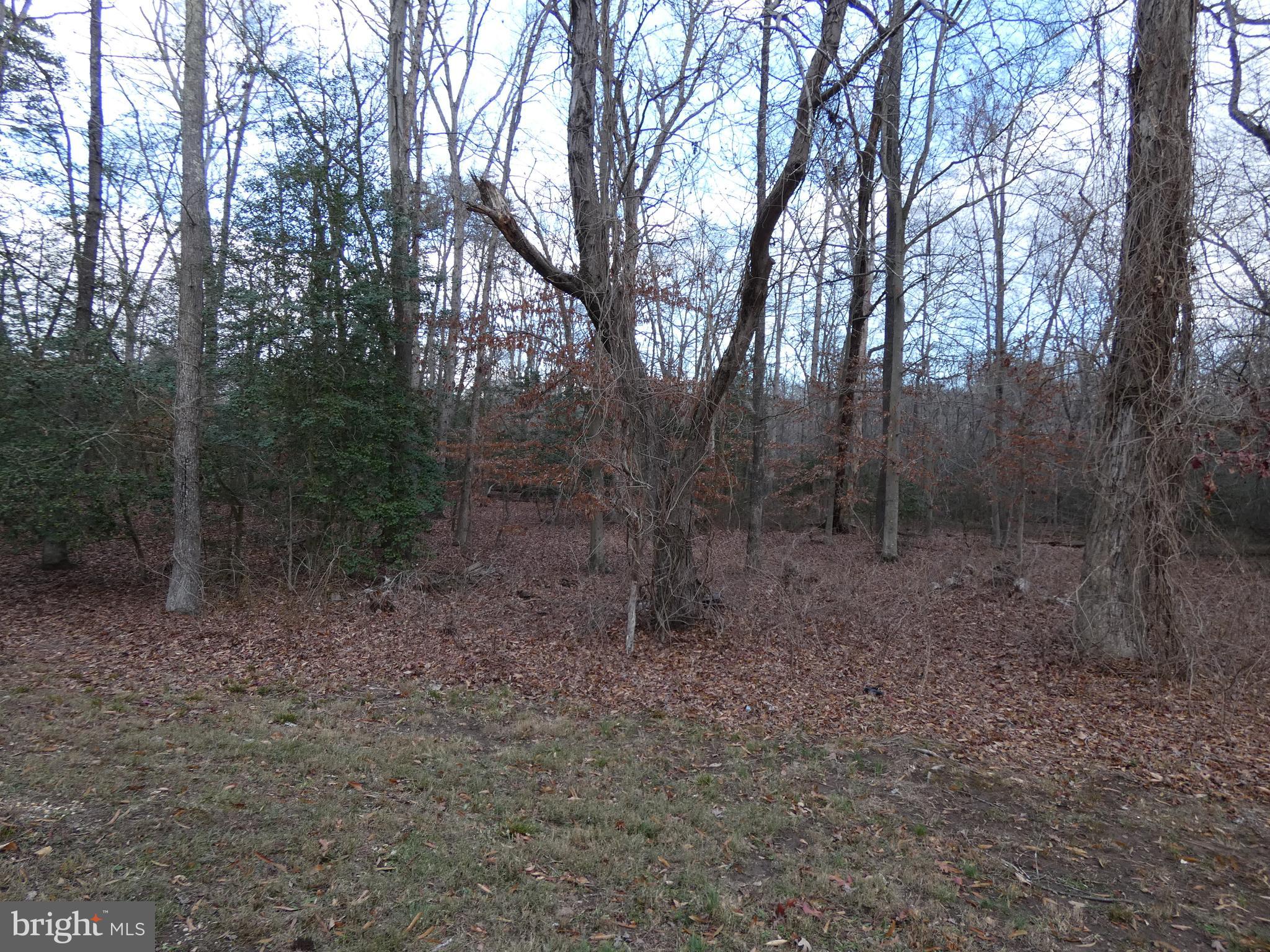 1830 Accokeek Road West Accokeek, MD 20607 - Photo 29 of 35