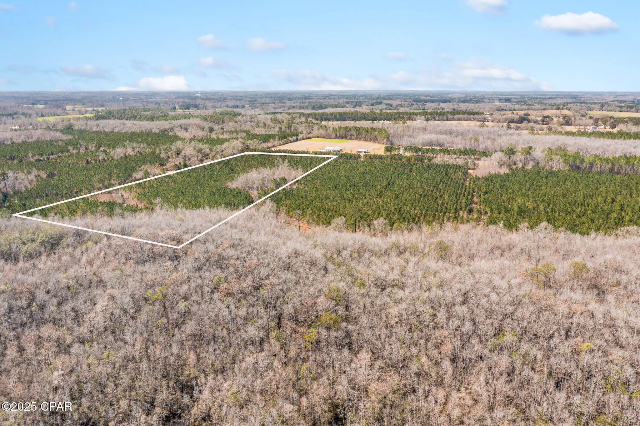 Lot 4 New Prospect Road Chipley, FL 32428 - Photo 4 of 26