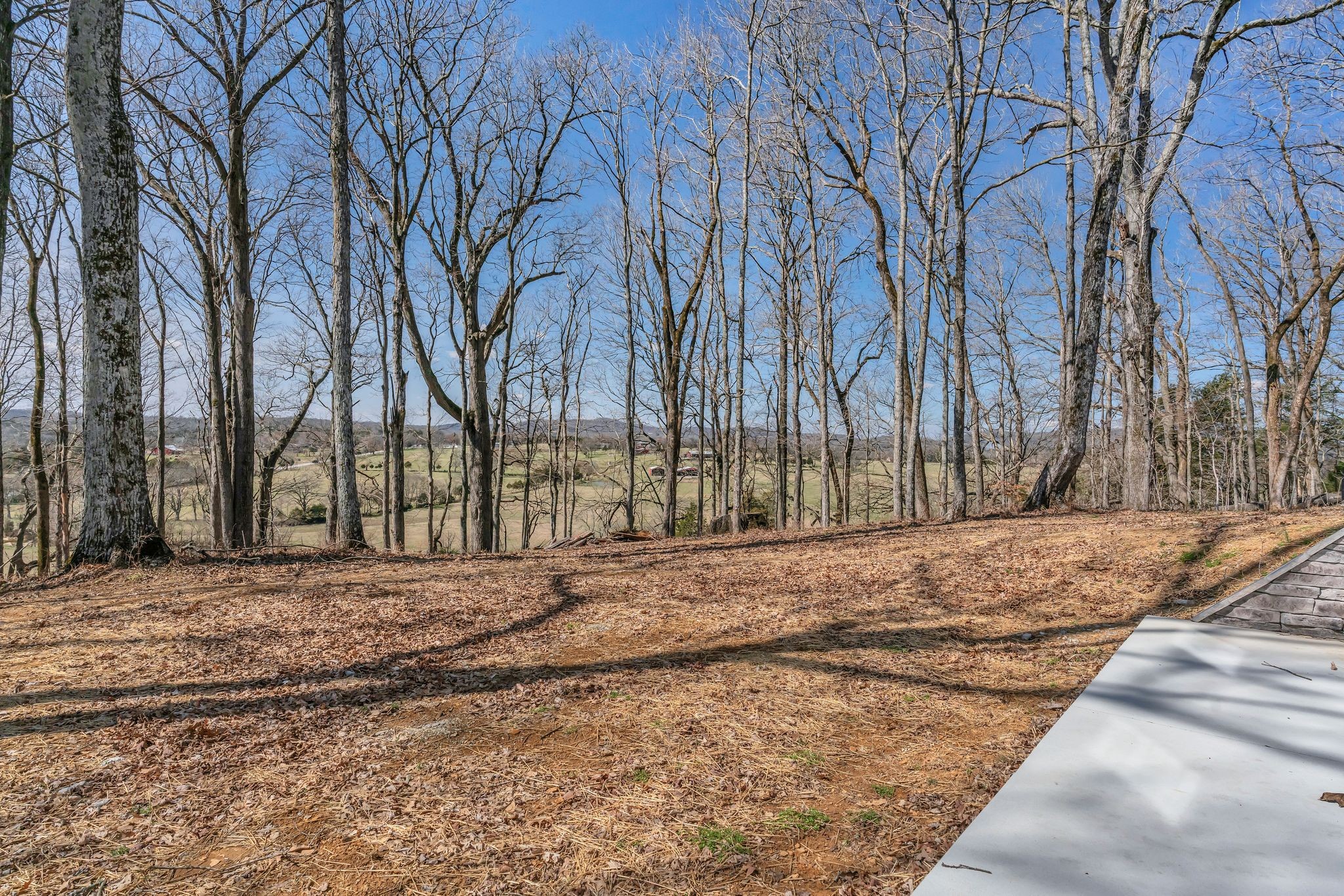 2165 Trammel Lane Lebanon, TN 37090 - Photo 56 of 81