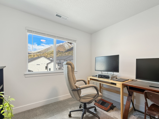 641 Desert Willow Drive Mapleton, UT 84664 - Photo 26 of 41 Office with light colored carpet and a textured ceiling