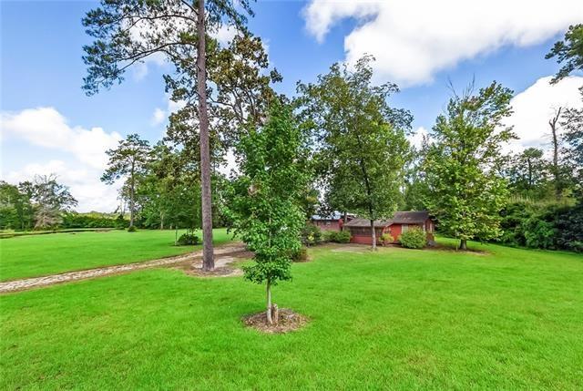 49202 Turnpike Road Folsom, LA 70437 - Photo 4 of 21 Gallery Image 4