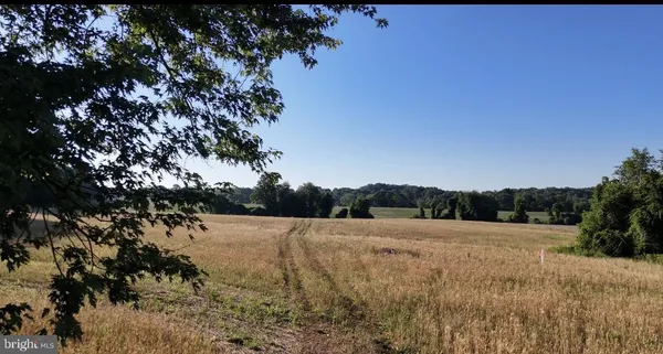 a view of a field with trees in background