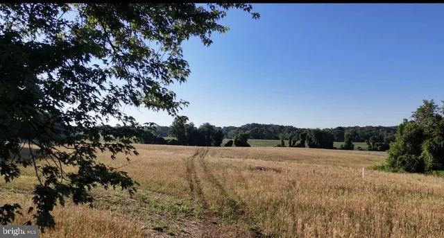 a view of a field with trees in background