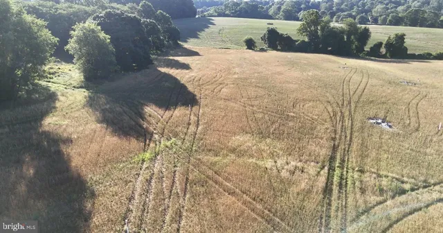 a view of backyard of a house