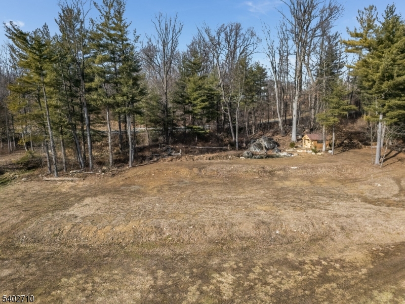 133 Cemetery Hill Road Washington, NJ 07882 - Photo 15 of 30 a backyard of a house with lots of green space