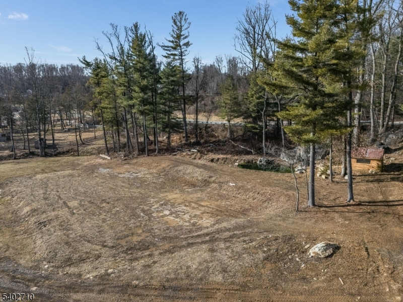133 Cemetery Hill Road Washington, NJ 07882 - Photo 16 of 30 a view of a yard with a tree