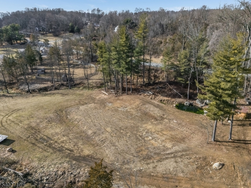 133 Cemetery Hill Road Washington, NJ 07882 - Photo 19 of 30 a view of a yard with iron fence