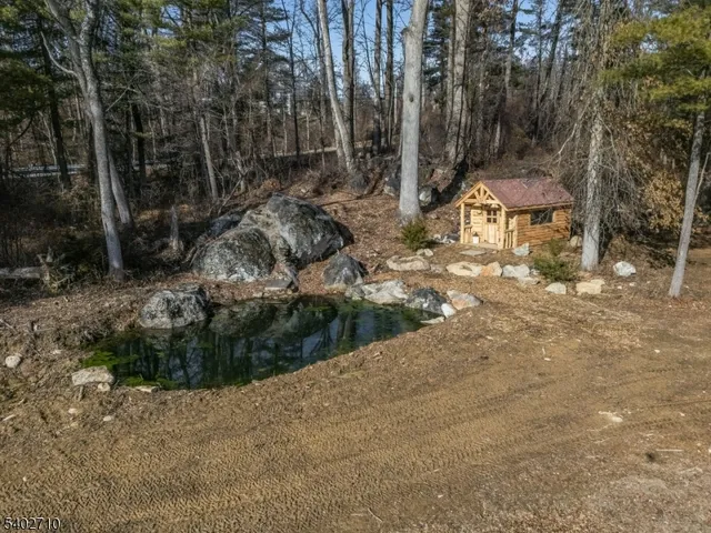 a view of a forest with a bench and trees in the background