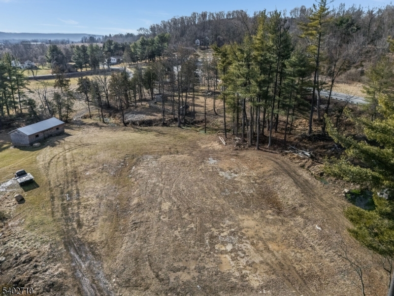 133 Cemetery Hill Road Washington, NJ 07882 - Photo 21 of 30 a view of a forest with a bench and trees in the background
