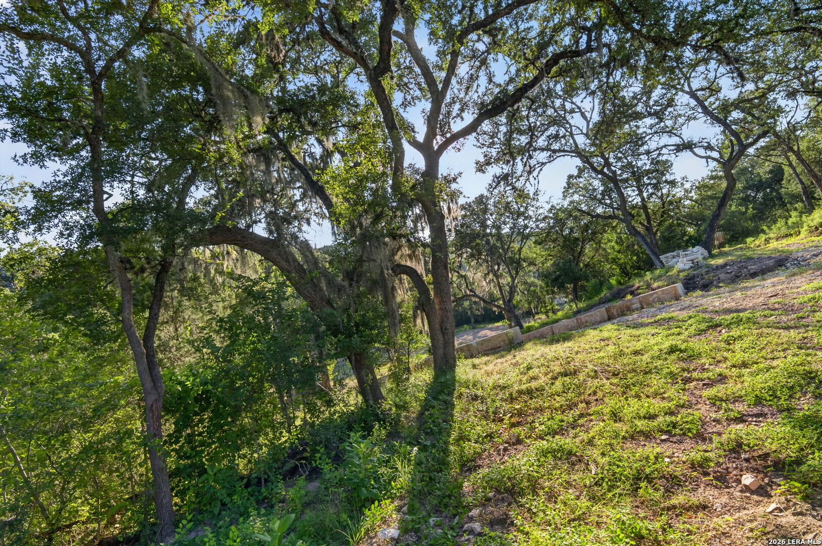449 Shepherd's Crook Helotes, TX 78023 - Photo 8 of 45 Gallery Image 8