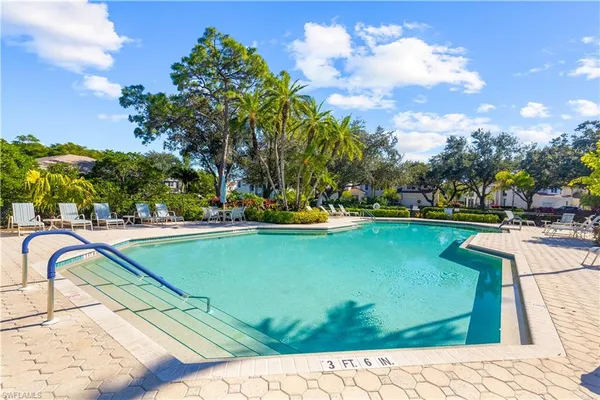 a view of a swimming pool with a garden
