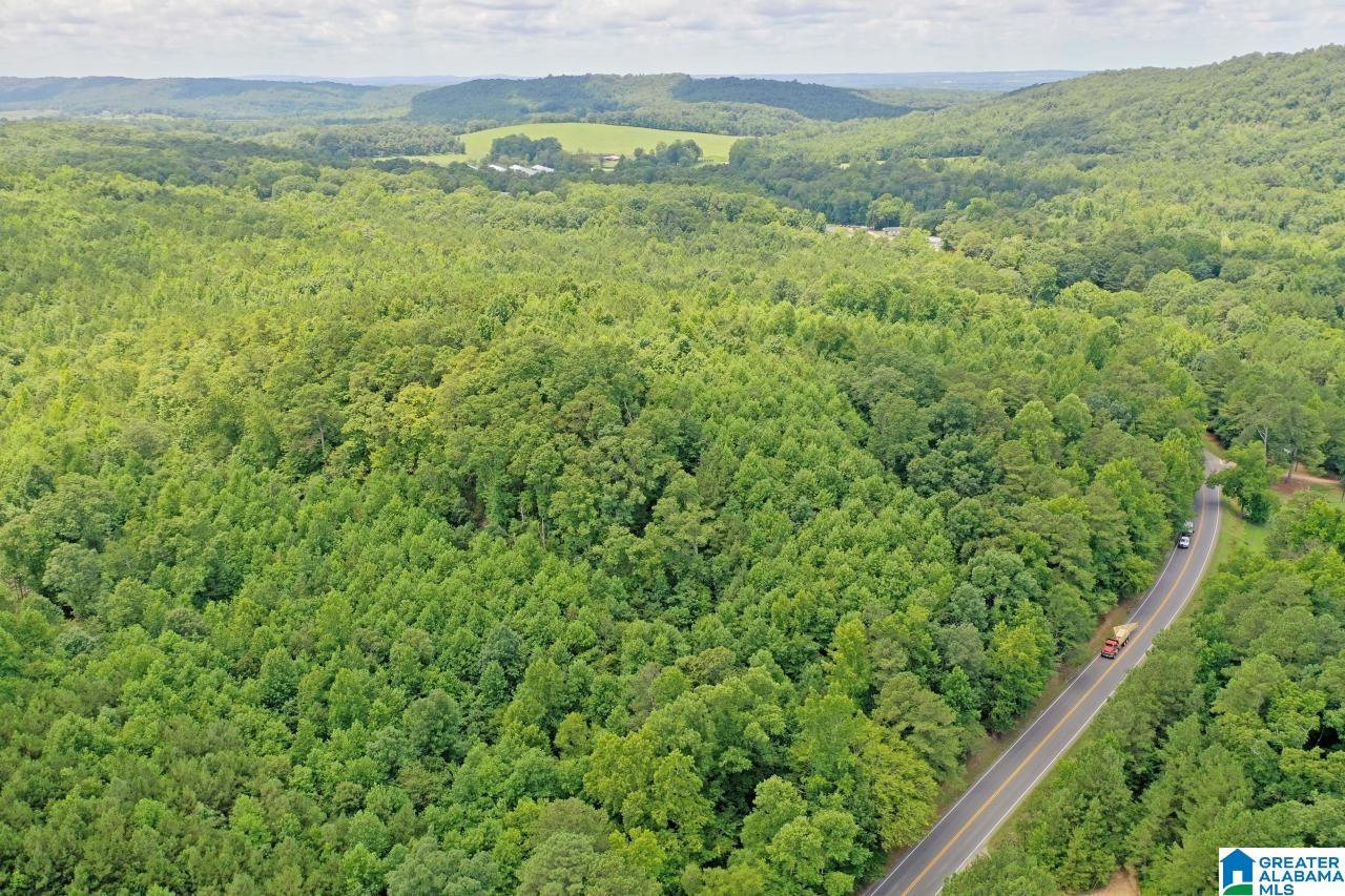 0 US Highway 278 Altoona, AL 35952 - Photo 4 of 14