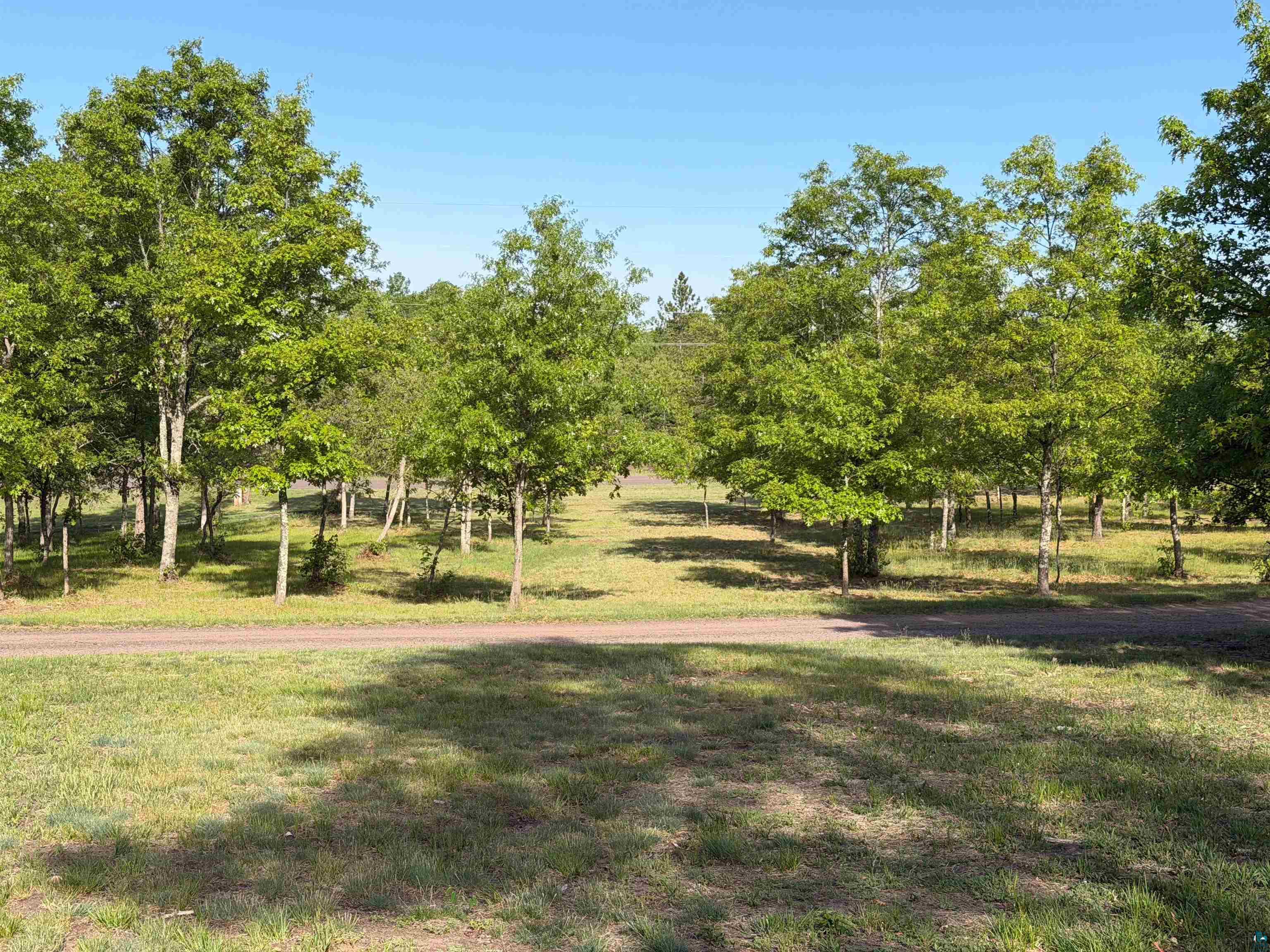 11702 East Mail Road Gordon, WI 54838 - Photo 13 of 60 Expansive grassy lot with mature trees and a clear blue sky
