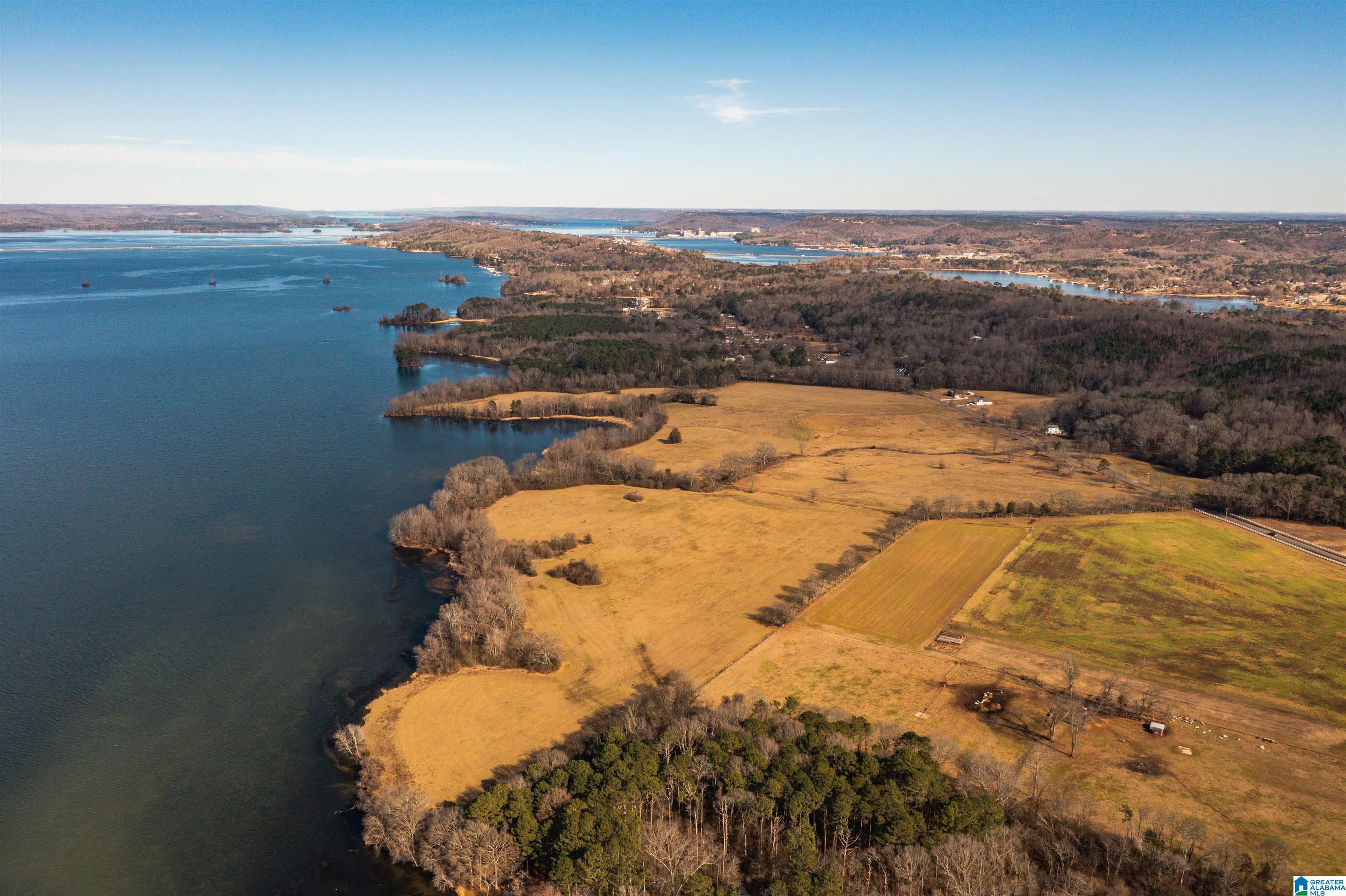 0 Browns Valley Road Guntersville, AL 35976 - Photo 16 of 39
